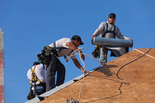 Best Roof Leak Repair  in USA